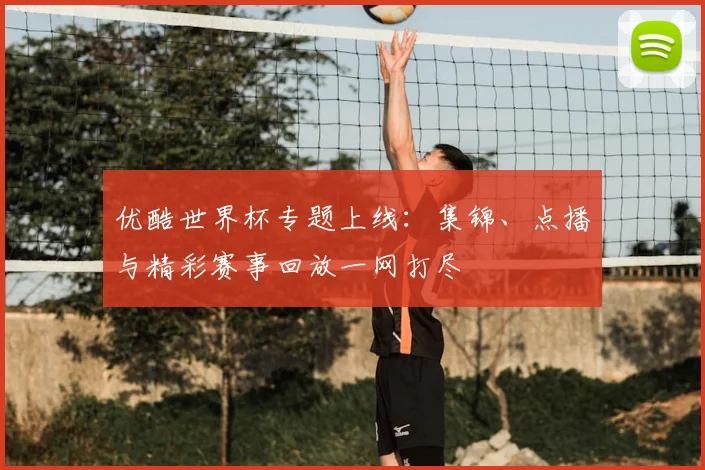 优酷世界杯专题上线：集锦、点播与精彩赛事回放一网打尽
