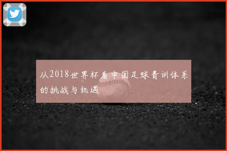 从2018世界杯看中国足球青训体系的挑战与机遇