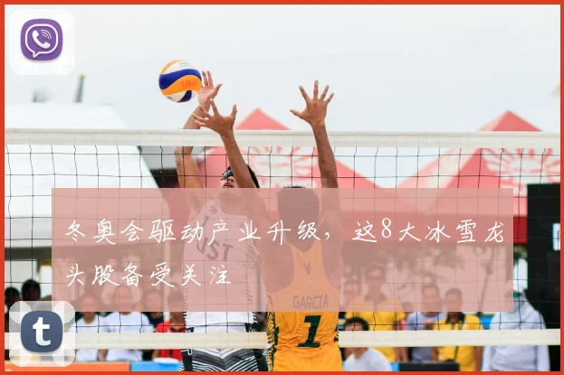 冬奥会驱动产业升级，这8大冰雪龙头股备受关注