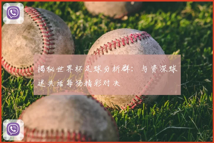 揭秘世界杯足球分析群：与资深球迷共话每场精彩对决