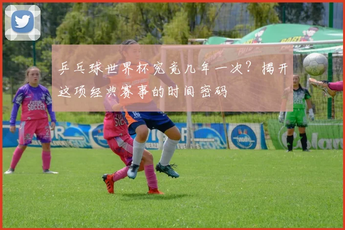 乒乓球世界杯究竟几年一次？揭开这项经典赛事的时间密码