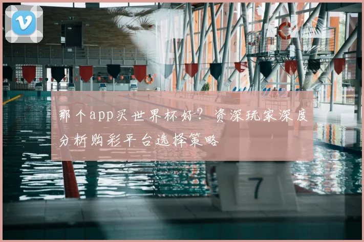 那个app买世界杯好？资深玩家深度分析购彩平台选择策略