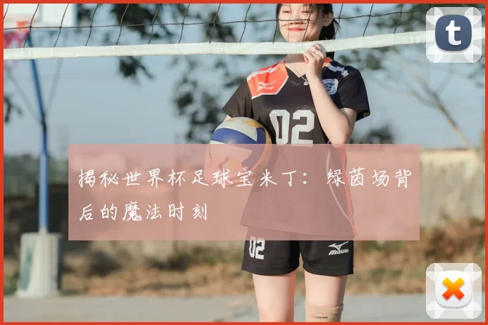 揭秘世界杯足球宝米丁:绿茵场背后的魔法时刻