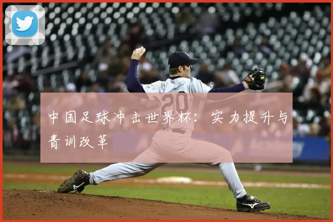 中国足球冲击世界杯：实力提升与青训改革