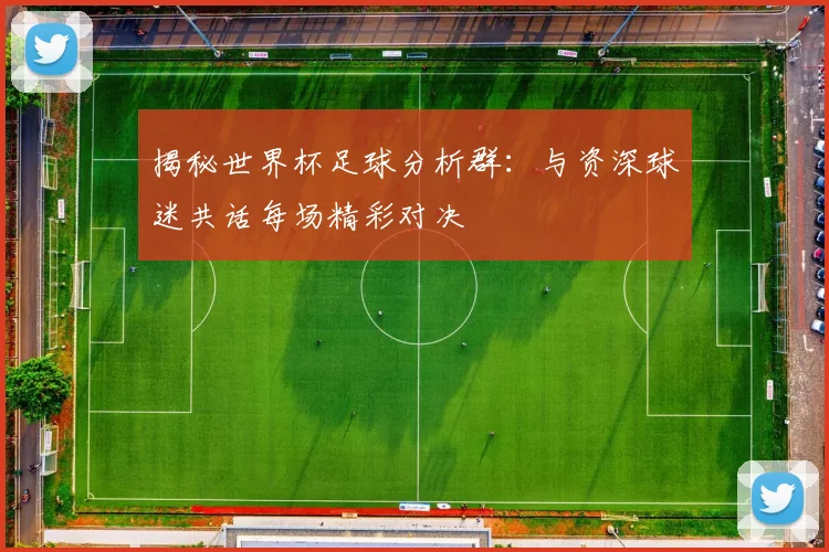 揭秘世界杯足球分析群：与资深球迷共话每场精彩对决
