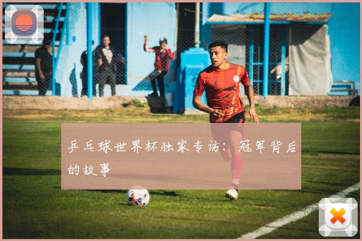 乒乓球世界杯独家专访：冠军背后的故事