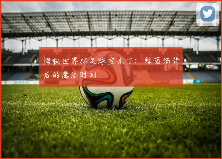 揭秘世界杯足球宝米丁:绿茵场背后的魔法时刻