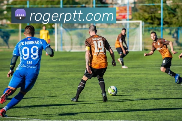 开云kaiyun网页版登陆发展历程